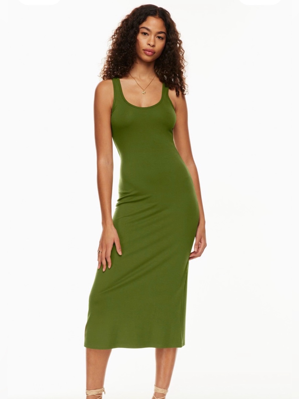 Aritzia Wilfred Libertine Dress
